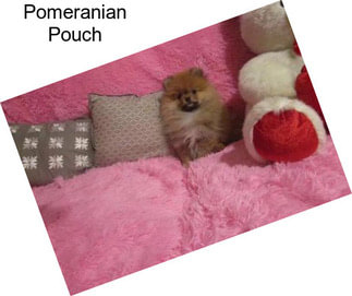 Pomeranian Pouch