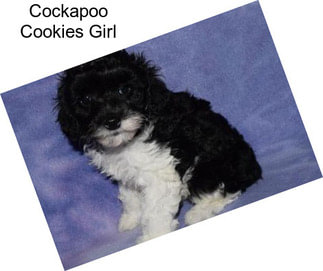 Cockapoo Cookies Girl