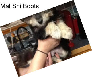 Mal Shi Boots