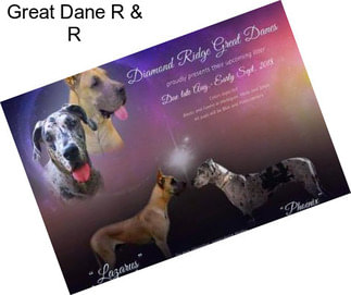 Great Dane R & R