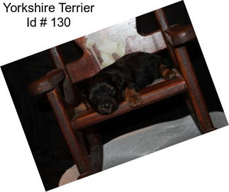 Yorkshire Terrier Id # 130