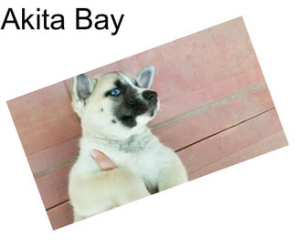Akita Bay