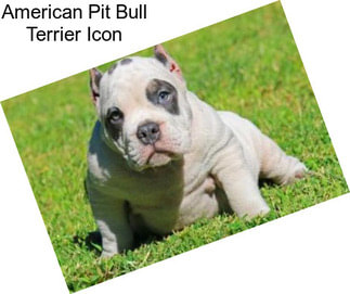 American Pit Bull Terrier Icon