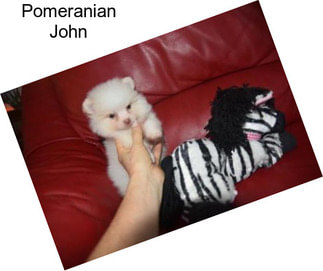 Pomeranian John