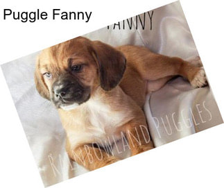 Puggle Fanny