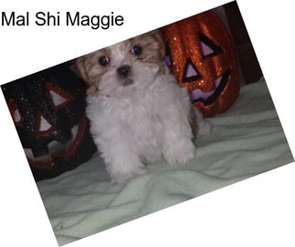 Mal Shi Maggie