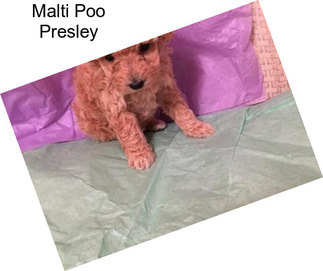 Malti Poo Presley