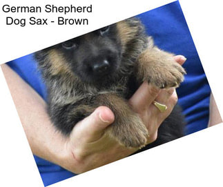 German Shepherd Dog Sax - Brown