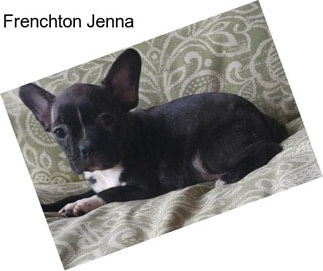 Frenchton Jenna