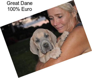 Great Dane 100% Euro