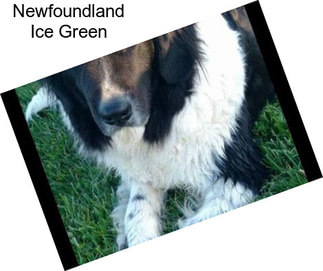 Newfoundland Ice Green