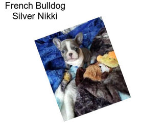 French Bulldog Silver Nikki