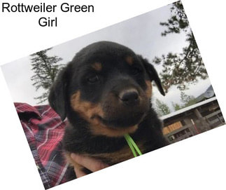 Rottweiler Green Girl