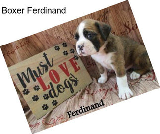 Boxer Ferdinand