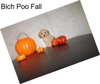 Bich Poo Fall