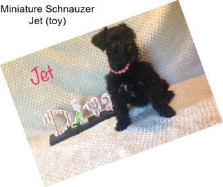 Miniature Schnauzer Jet (toy)