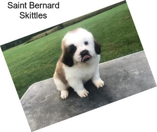 Saint Bernard Skittles