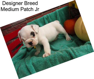 Designer Breed Medium Patch Jr
