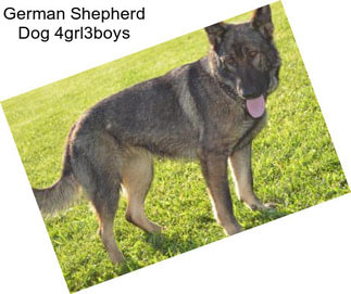 German Shepherd Dog 4grl3boys