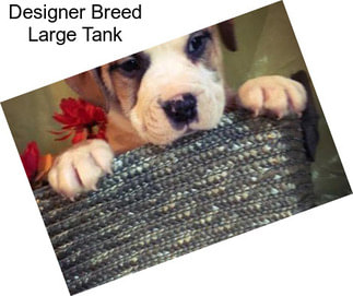 Designer Breed Large Tank