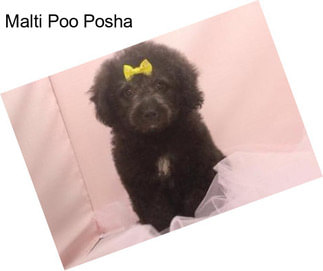 Malti Poo Posha