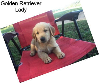 Golden Retriever Lady