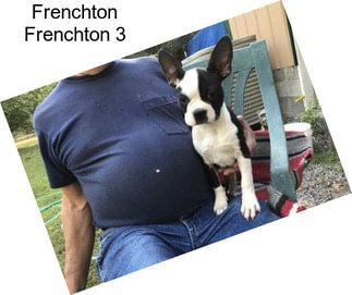 Frenchton Frenchton 3