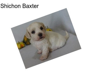 Shichon Baxter