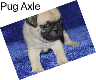 Pug Axle