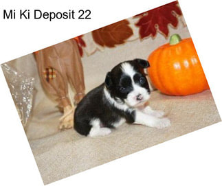 Mi Ki Deposit 22