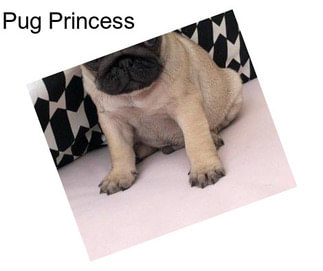 Pug Princess