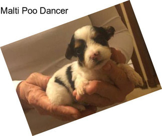 Malti Poo Dancer