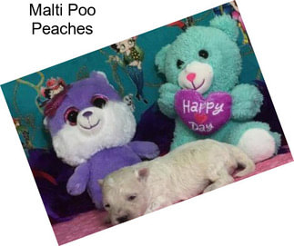 Malti Poo Peaches