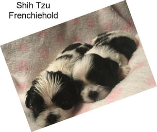 Shih Tzu Frenchiehold