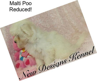 Malti Poo Reduced!