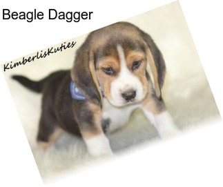 Beagle Dagger