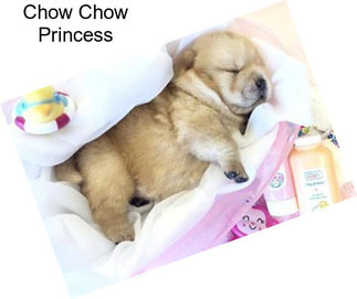 Chow Chow Princess