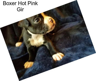 Boxer Hot Pink Gir