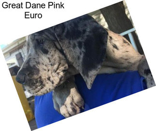 Great Dane Pink Euro