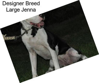 Designer Breed Large Jenna