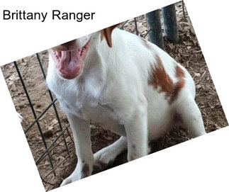 Brittany Ranger