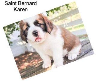 Saint Bernard Karen