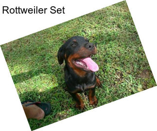 Rottweiler Set