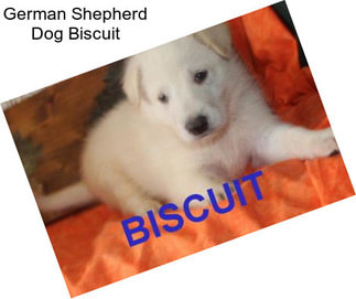 German Shepherd Dog Biscuit