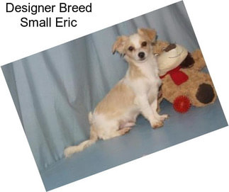 Designer Breed Small Eric