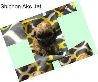 Shichon Akc Jet
