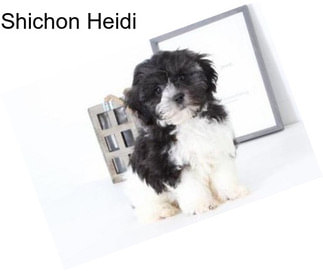 Shichon Heidi