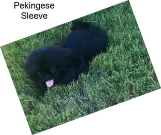 Pekingese Sleeve