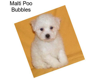 Malti Poo Bubbles