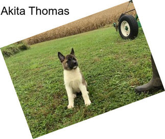 Akita Thomas